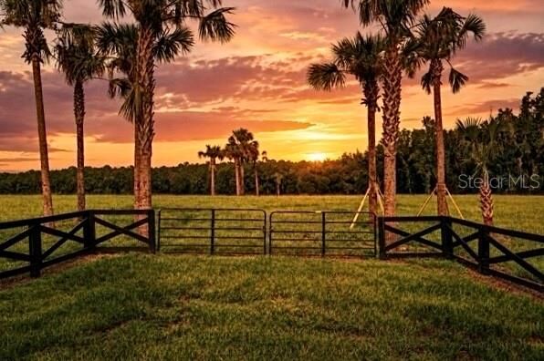 Property Photo:  Tbd Hwy 329  FL 32686 