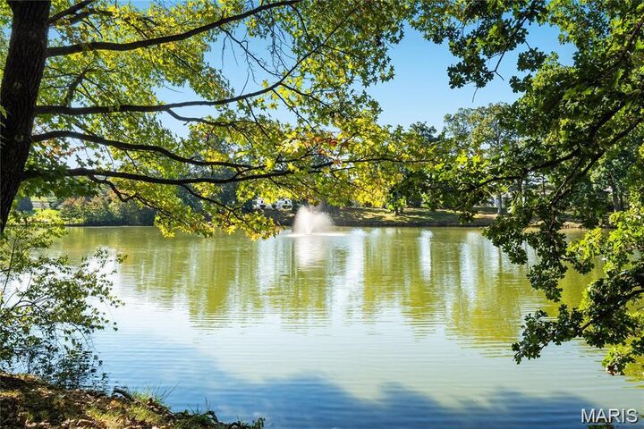 Property Photo: 13238 Pinetree Lake Drive MO 63017