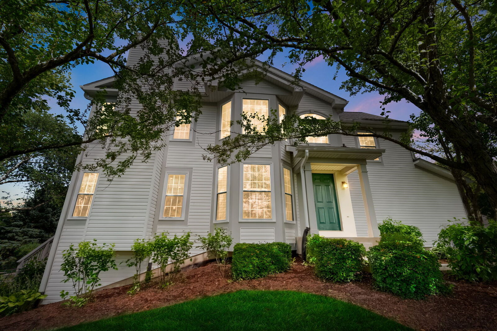 Property Photo: 1208 Appaloosa Way IL 60103