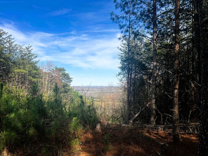 Property Photo:  0 Owl Hollow Road SW  TN 37353 