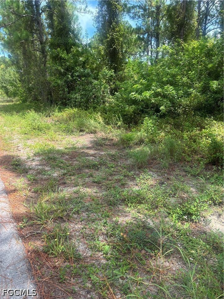 Property Photo:  2110 Jackson Avenue  FL 33920 