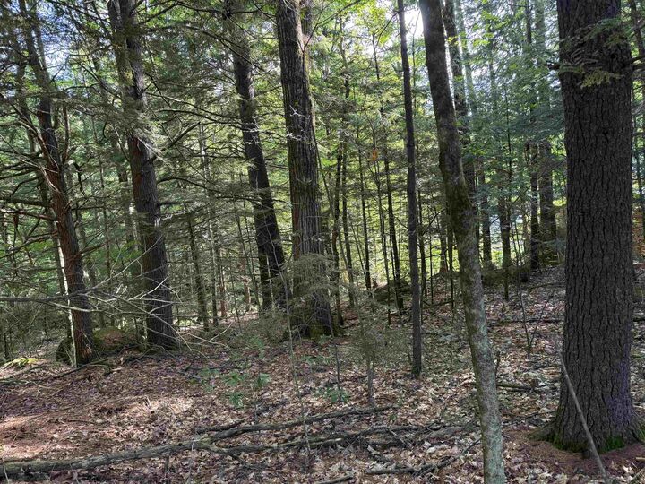Property Photo: 14-189 Seminole Road NH 03244