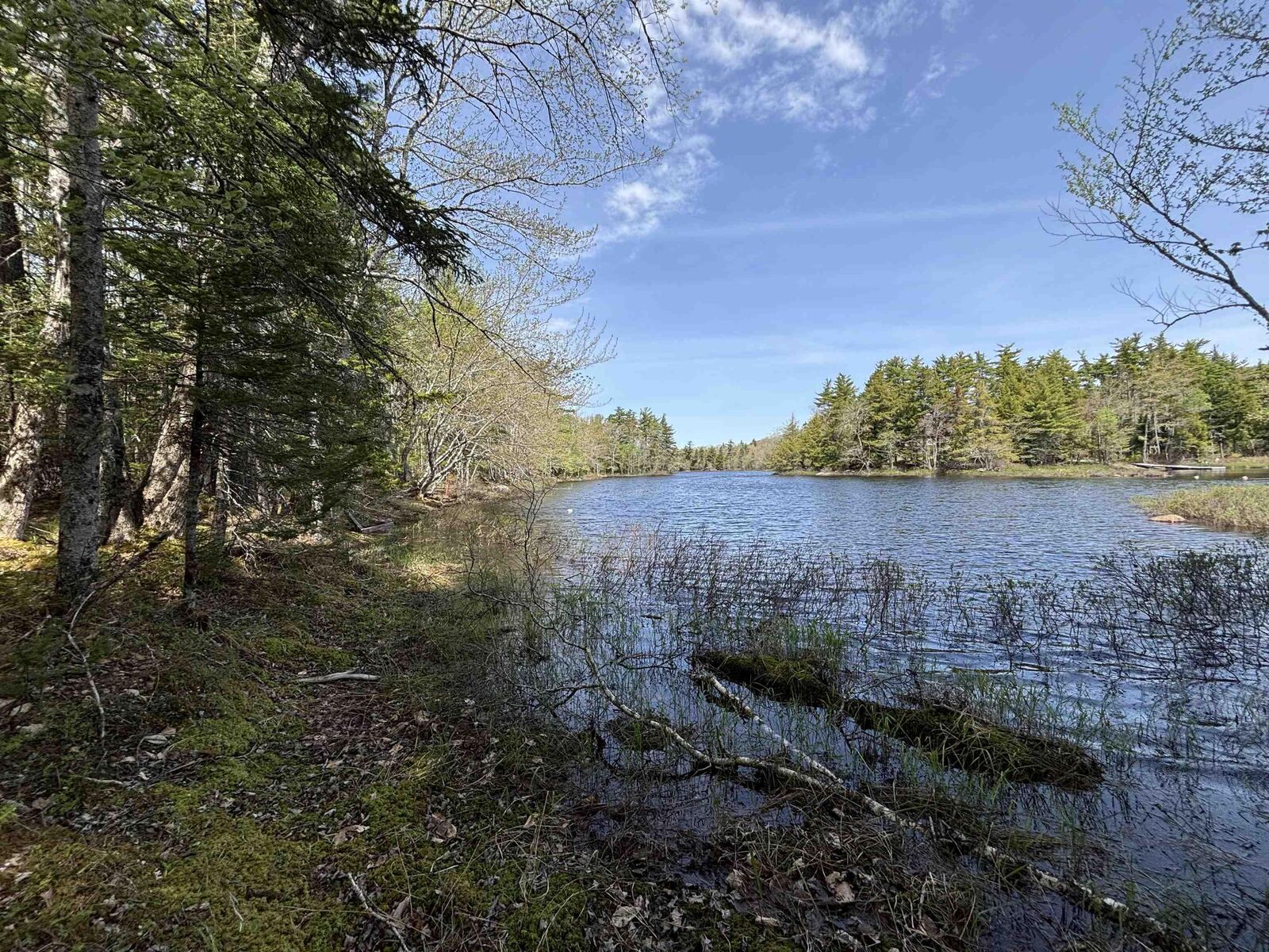 Property Photo:  Lot 4-23 Highway 325  NS B4V 8H3 