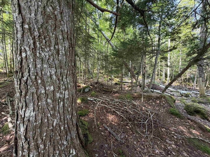 Property Photo:  Cottage/Rv Lot Highway 357 Highway  NS B0J 2L0 