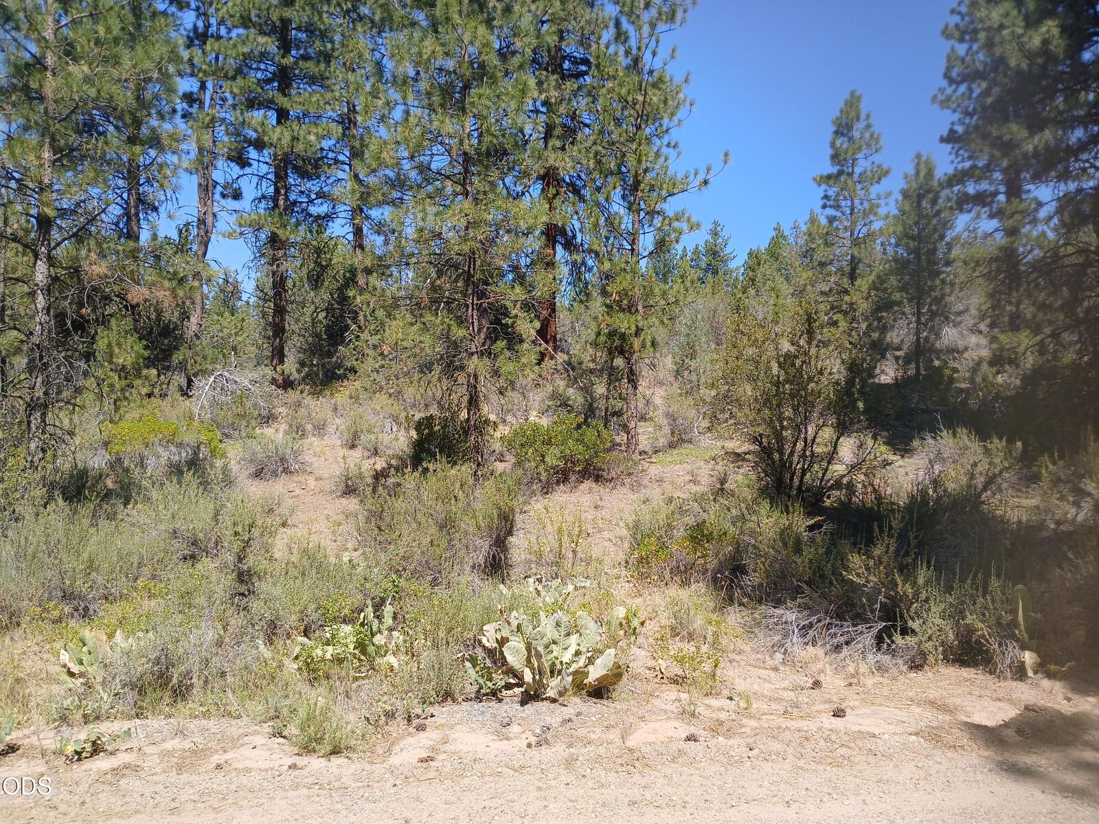 Property Photo: 0 Oriole Drive Lot 13 OR 97623