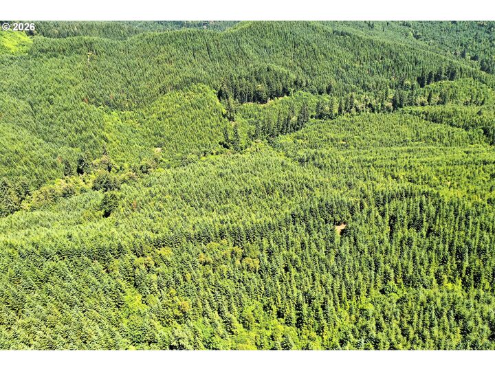 Property Photo:  High Pass Rd  OR 97448 