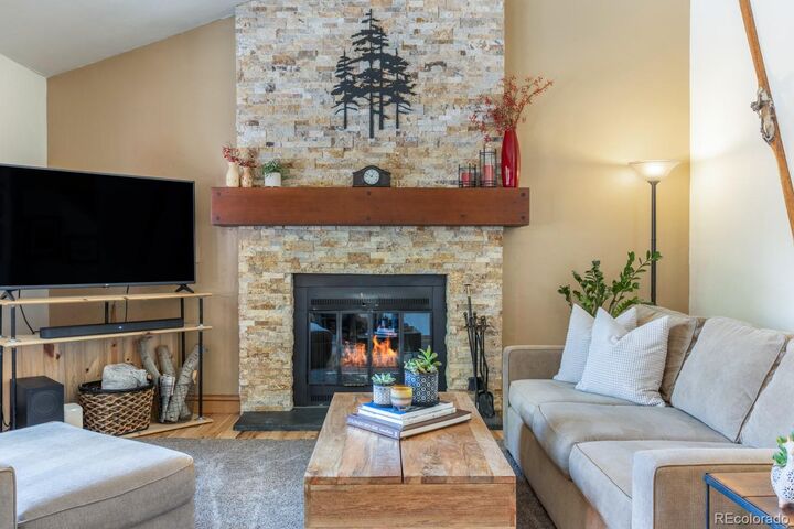 Property Photo:  113 Beaver Road A  CO 81620 