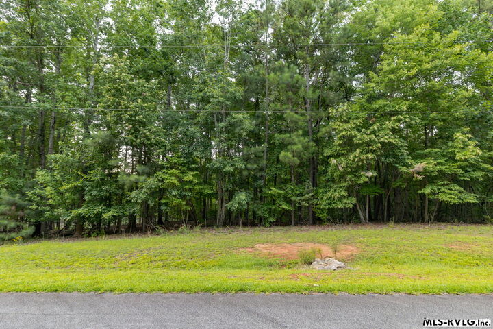 Property Photo:  0 Lookout Point Drive  VA 23887 
