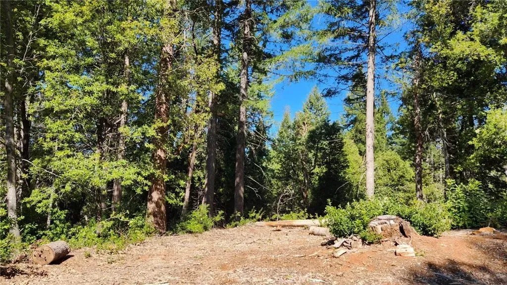 Property Photo: 11157 Breezy CA 95930