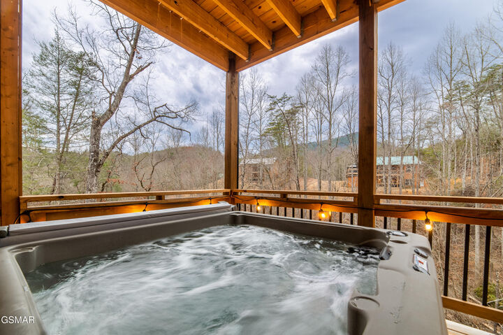 Property Photo:  1523 Bluff Ridge Road  TN 37876 