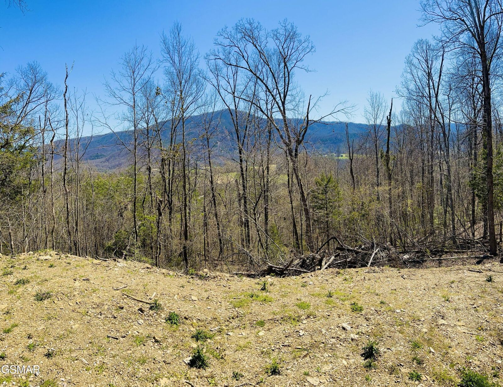 Property Photo:  0 Quail Way  TN 37862 