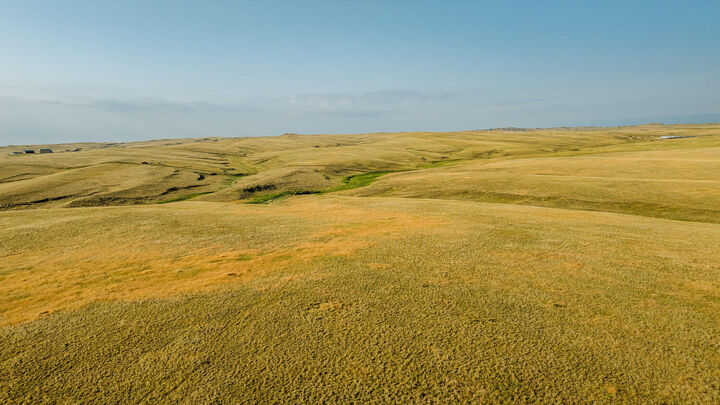 Property Photo: 32 Wallows Creek Road WY 82834