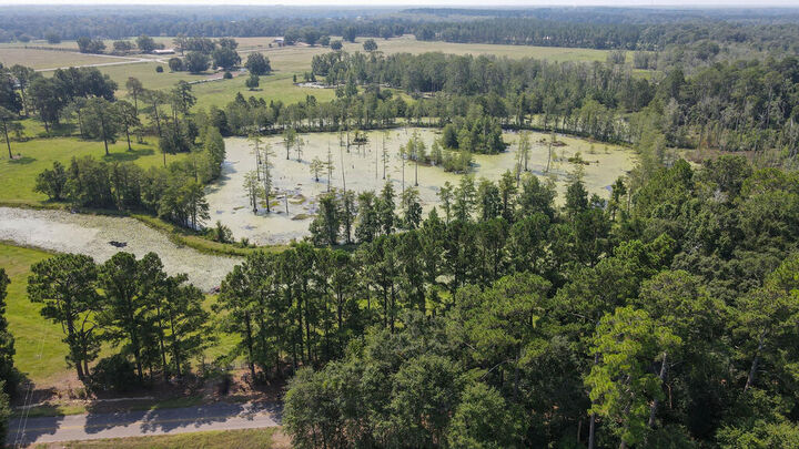 Property Photo: 1126 Johnnie Ingram Road AL 36376