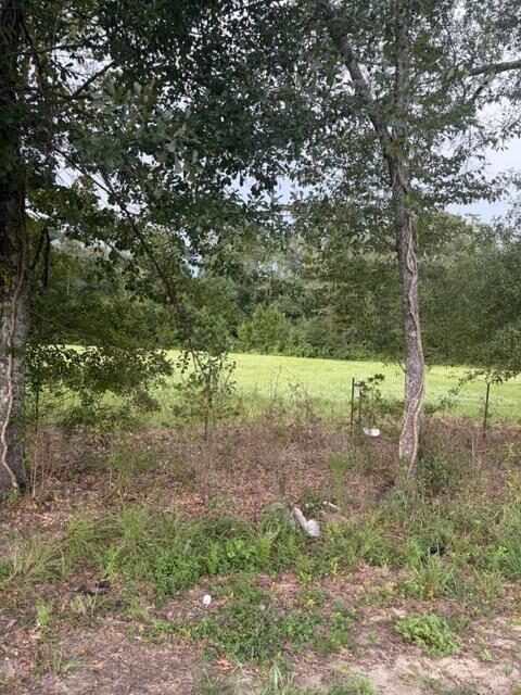 Property Photo:  0 State Highway 103 Lot1  AL 36375 