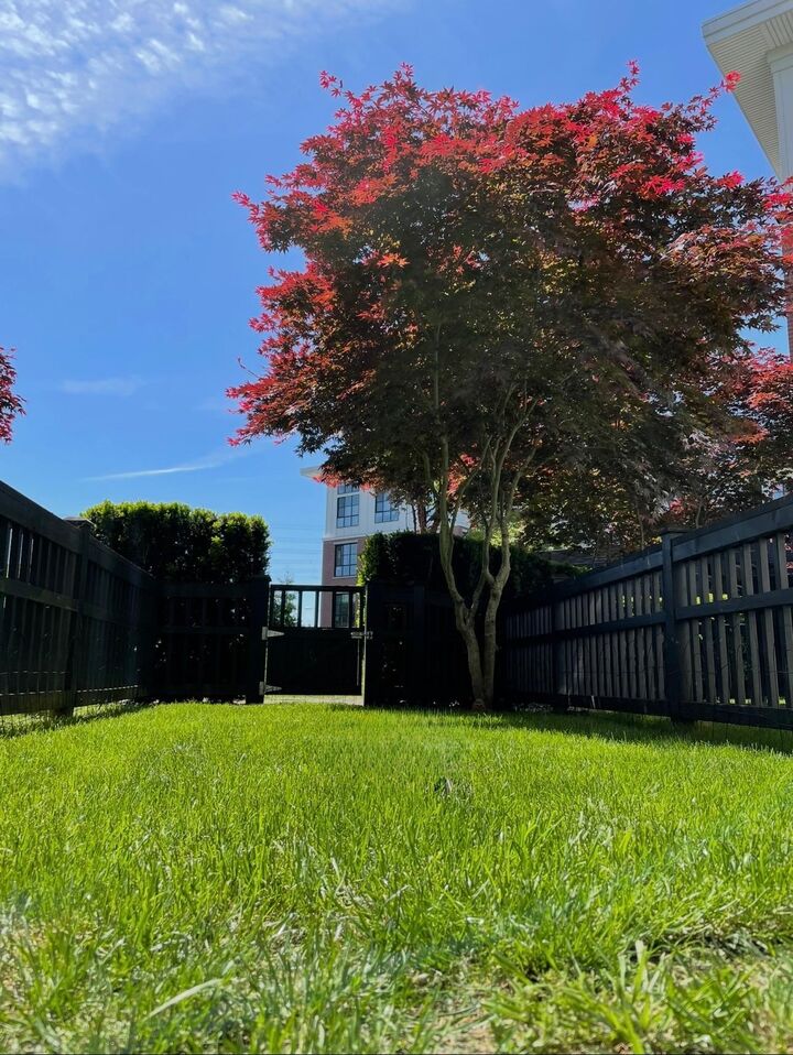 Property Photo: 15168 33 Avenue 132 BC V3Z 0N7