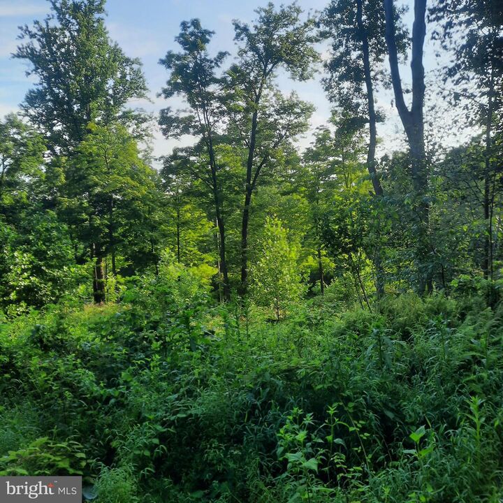 Property Photo: 5968 State Park Road PA 18947