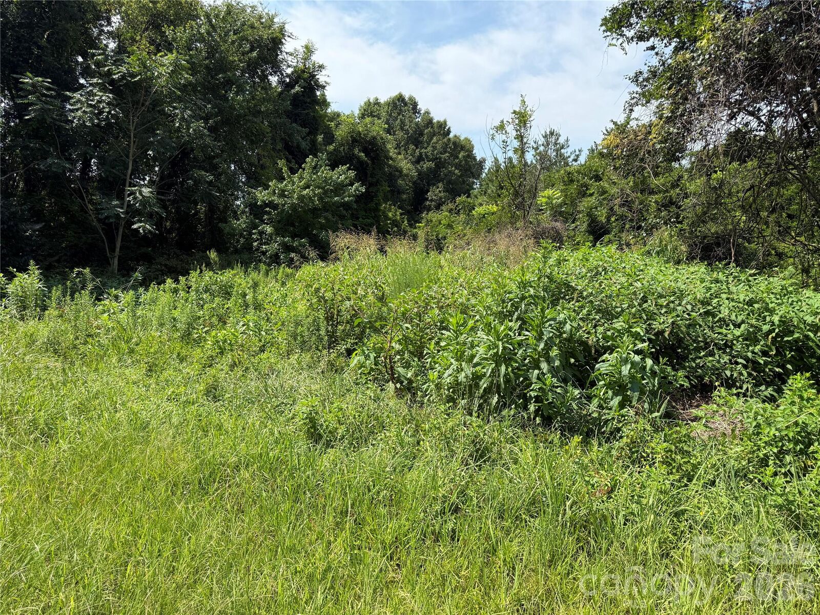 Property Photo:  5049-1 Trinity Church Road  NC 28081 