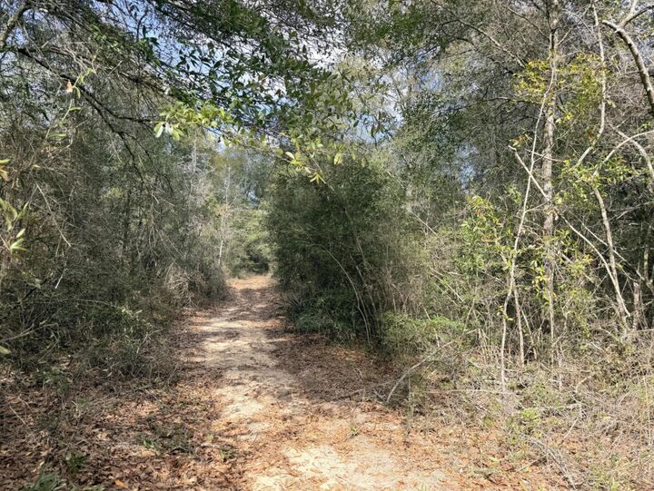 Property Photo:  0.56 Christopher Lane  FL 32539 