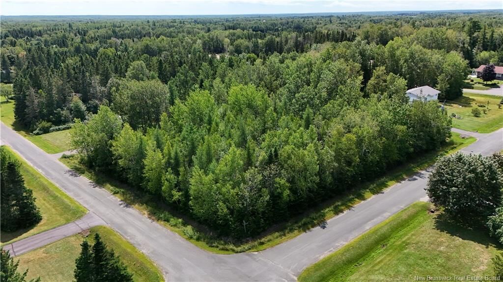 Property Photo:  441 Petire Avenue  NB E2A 4Y9 