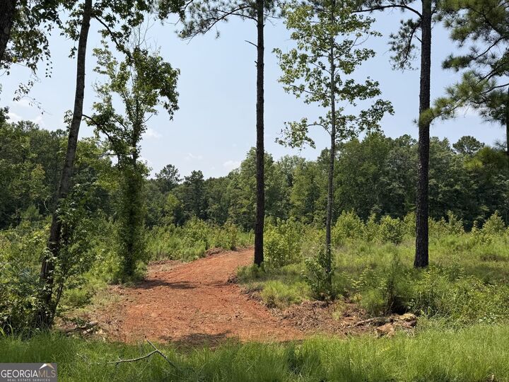 Property Photo: 690 Giles Road GA 31029
