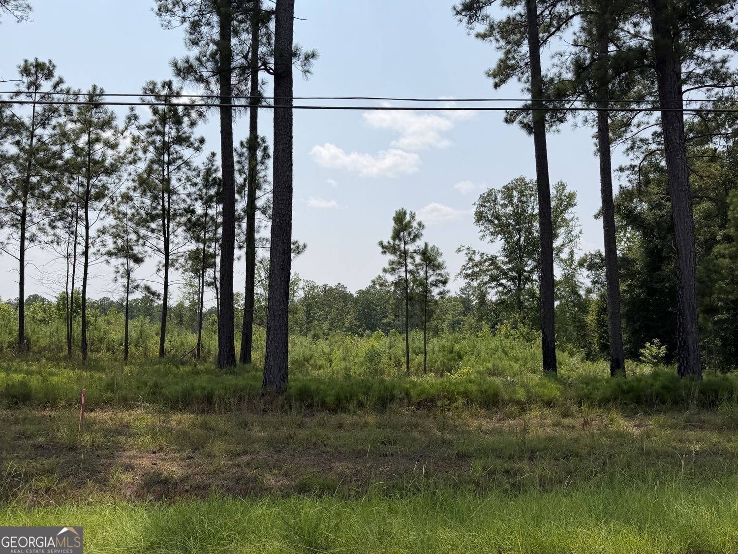Property Photo: 1144 Giles Road GA 31029