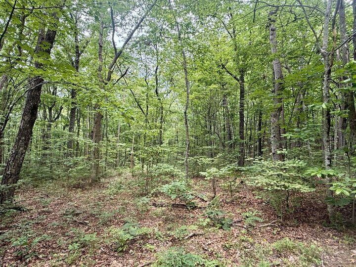 Property Photo: 41.04ac Windridge Drive TN 37327