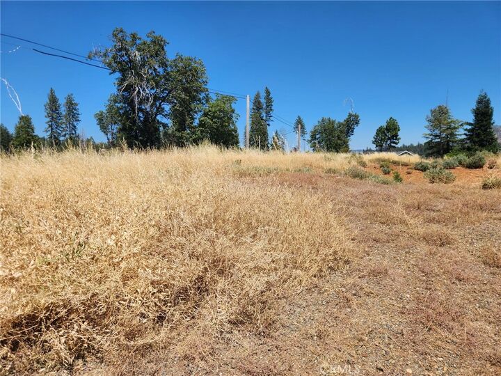 Property Photo:  13600 Andover  CA 95954 