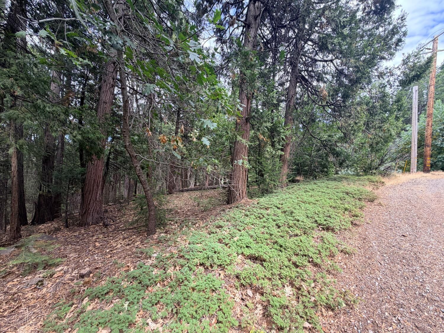 Property Photo:  5 Debron Court  CA 95726 