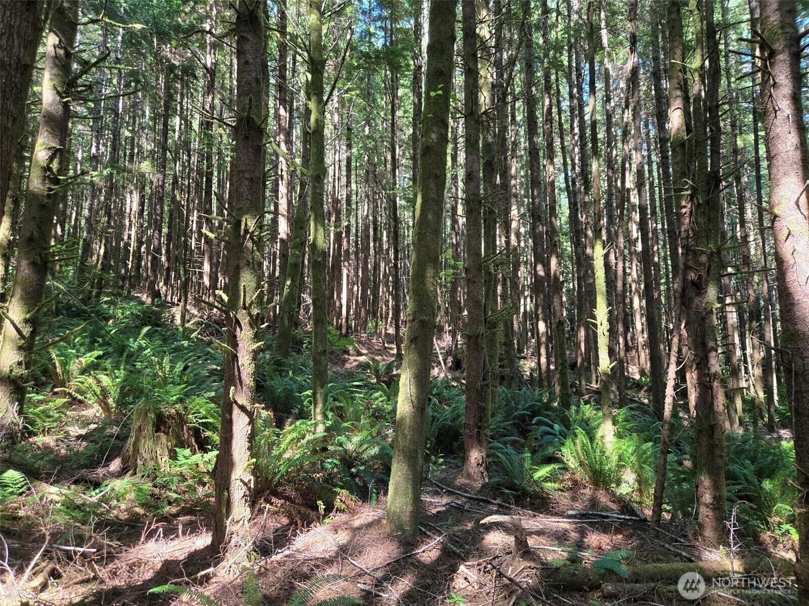 Property Photo:  0 Nka  S.r. 109 Spur  WA 98550 