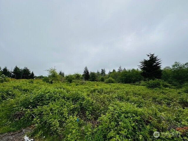 Property Photo: 4311 Bethel Road SE WA 98366