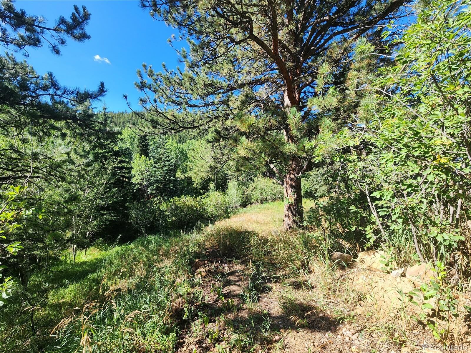 Property Photo: 531 Caribou Road CO 80466