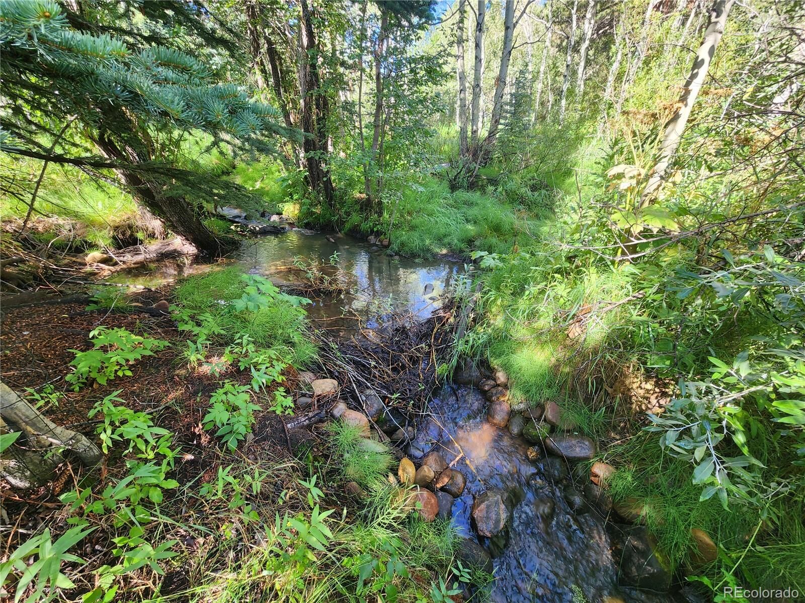 Property Photo:  531 Caribou Road  CO 80466 