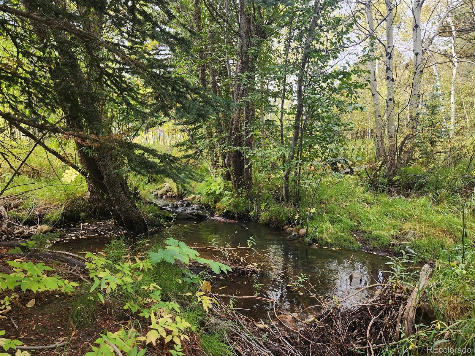 Property Photo:  531 Caribou Road  CO 80466 