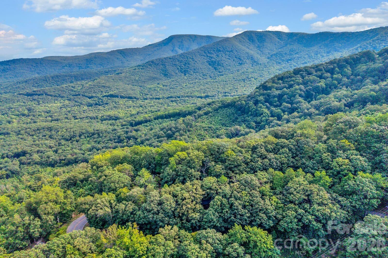 Property Photo: 00 Hogback Mountain Road 63 NC 28782