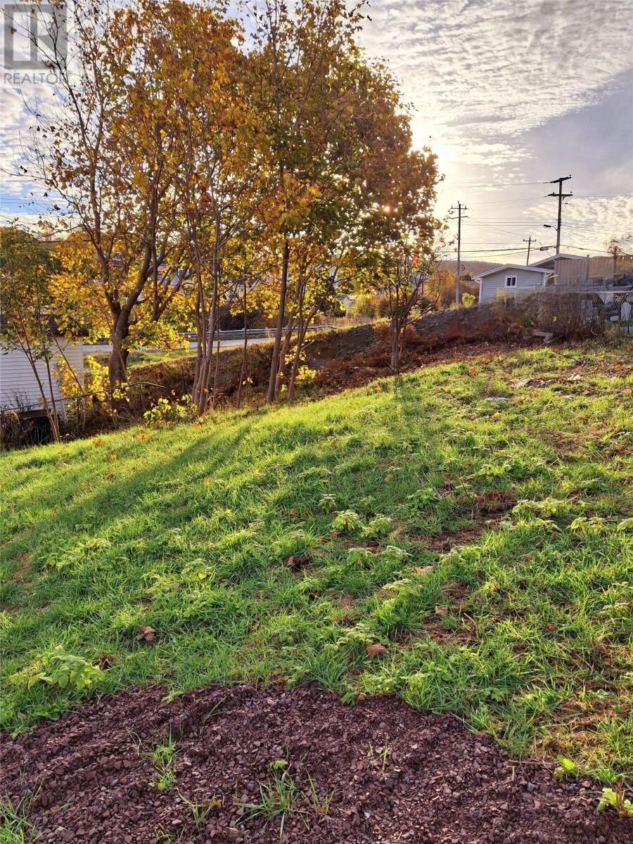 Property Photo:  213 A Main Road  NL A0B 3M0 