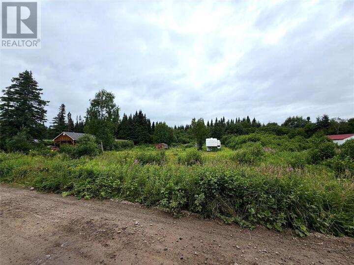 Property Photo:  3 Trailway Road  NL A0L 1G0 