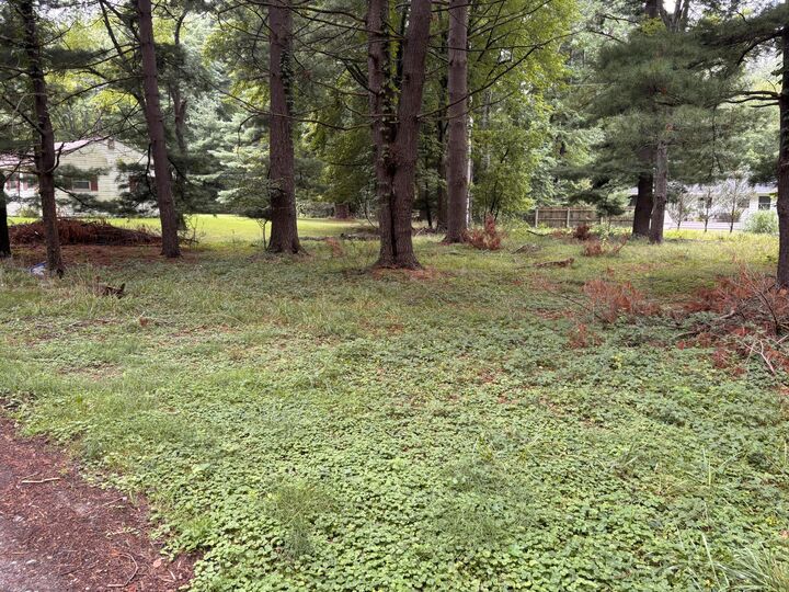 Property Photo: V/L Spruce Street MI 49125