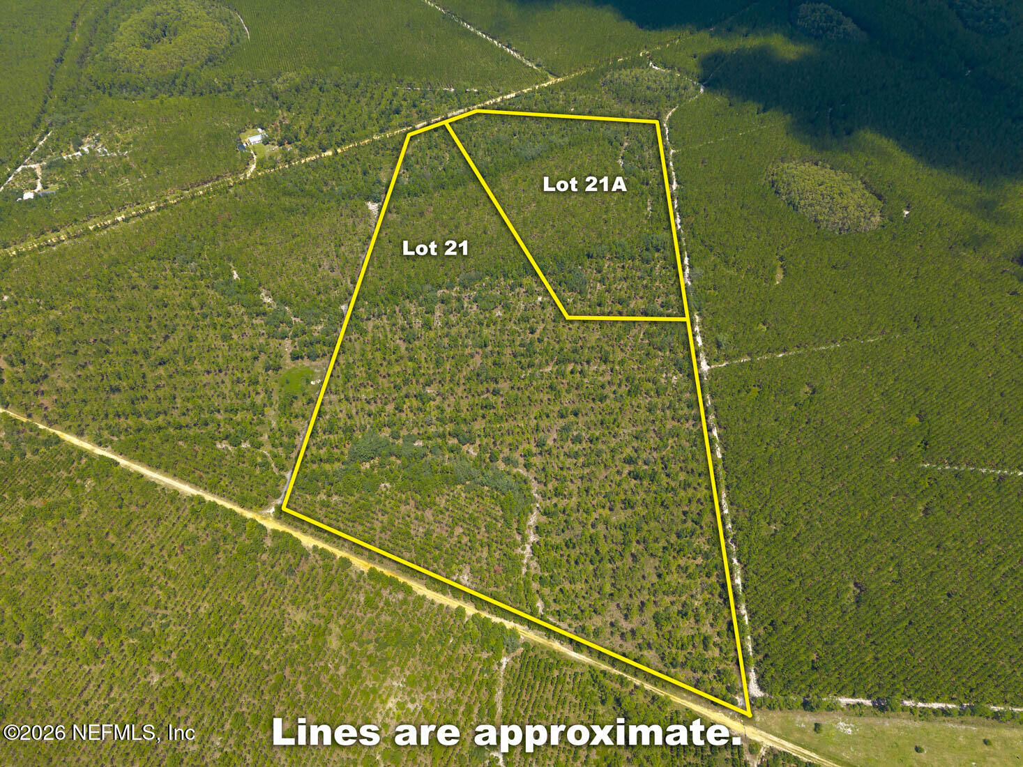Property Photo:  21 & 21A Bellamy Road  FL 32140 