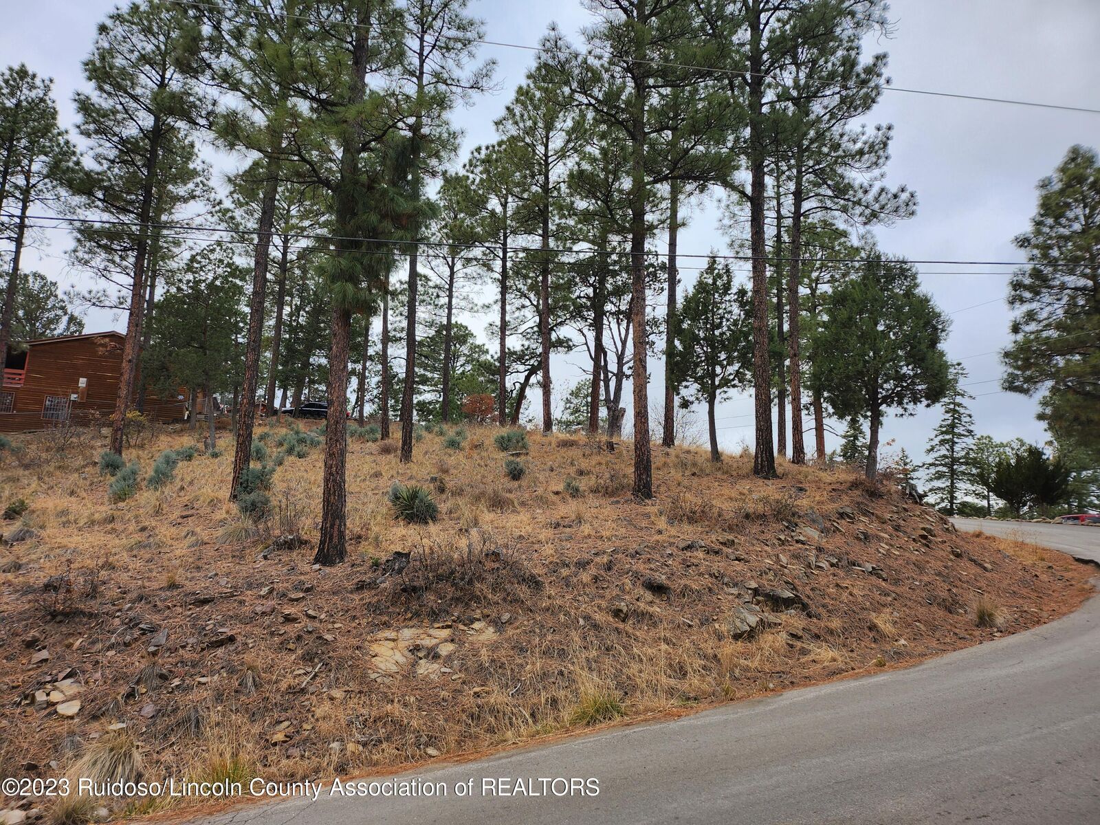 Property Photo: 138 King Richard Drive NM 88345