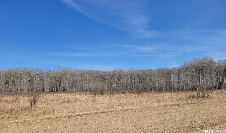 Property Photo:  21 Lakeshore Drive  SK S0A 0B2 