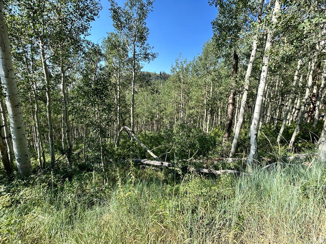 Property Photo:  5475 N Hidden Way 37  UT 84049 