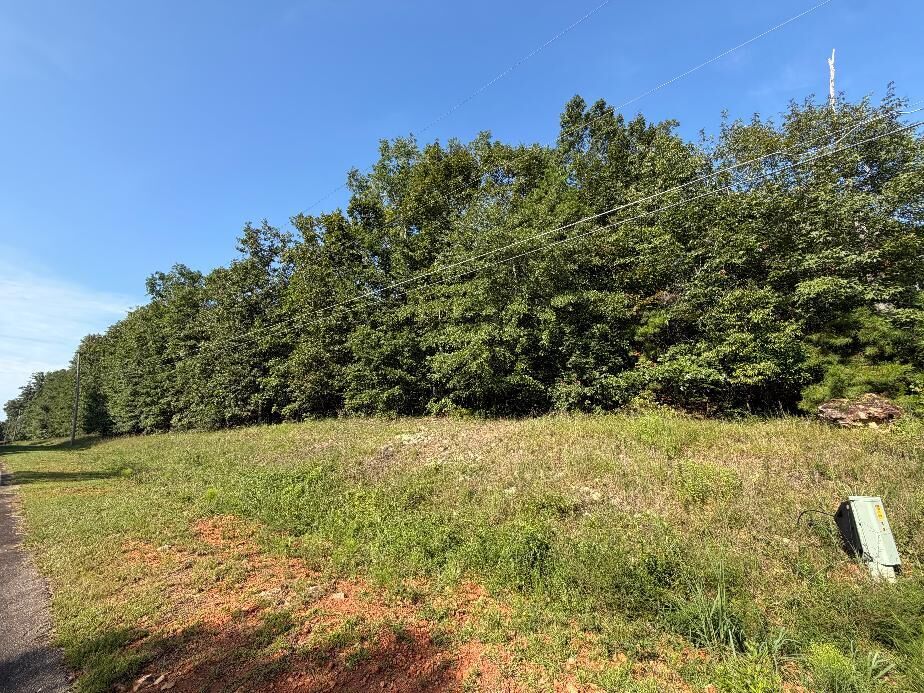 Property Photo: 0 W Rock Hill Drive GA 31709