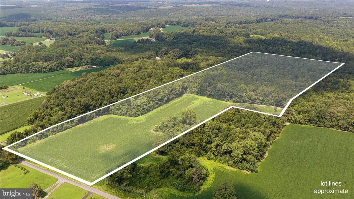 Property Photo: 3240 Jerusalem Church Road VA 22469
