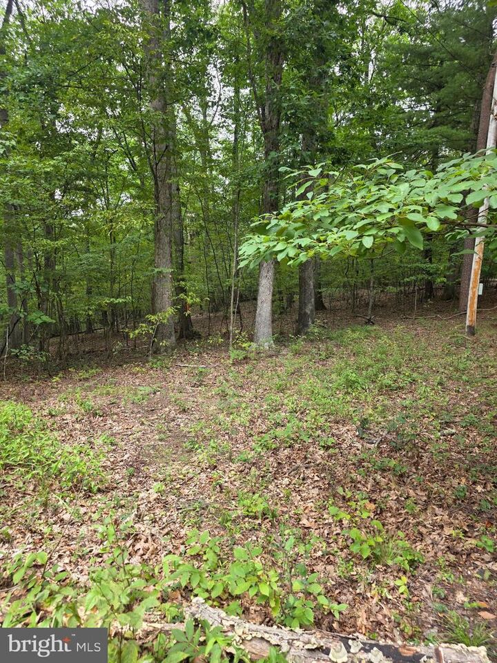 Property Photo: Pink Dogwood Lane WV 25427