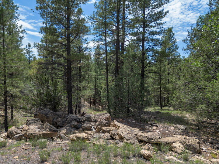 Property Photo:  642 Jacks Canyon Drive  AZ 86024 