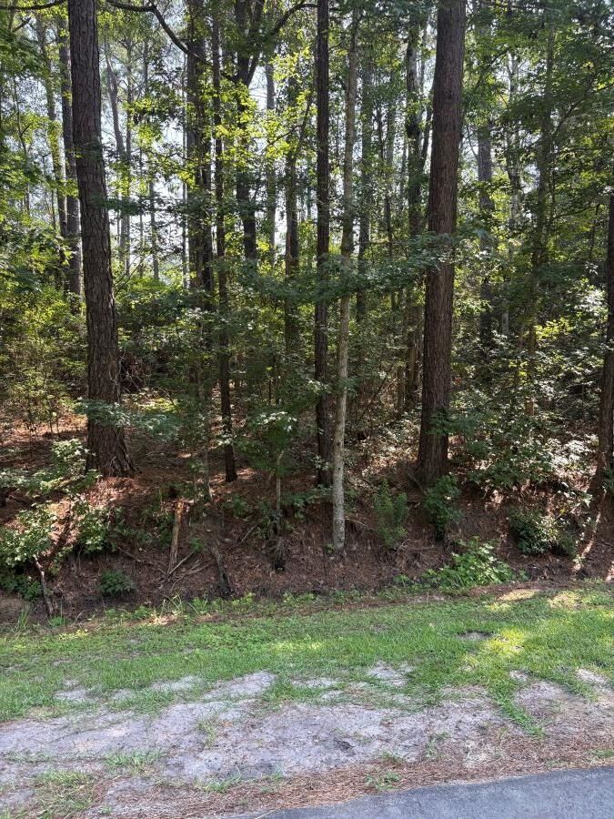 Property Photo:  13 Myrtlewood Dr.  NC 28467 