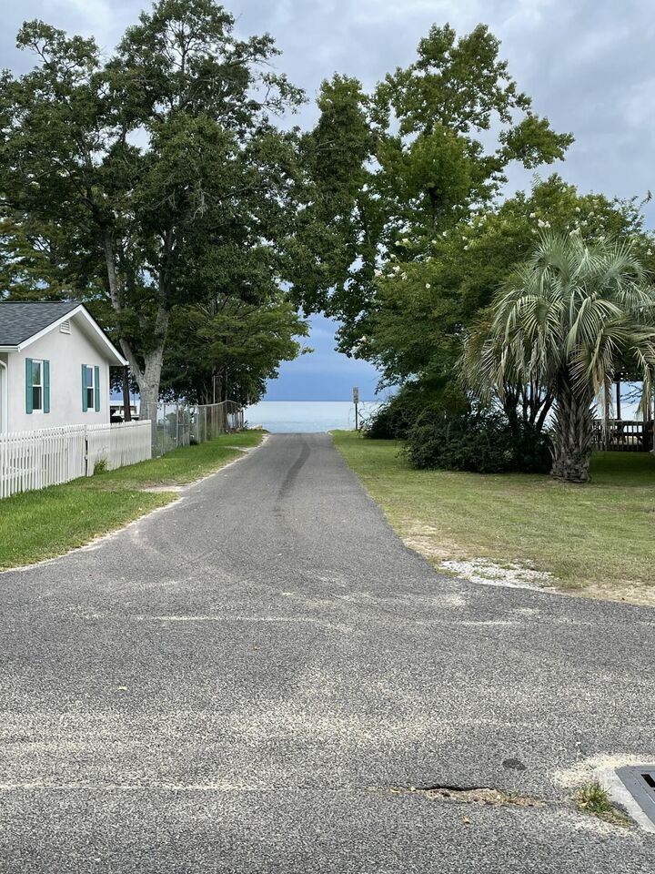 Property Photo:  197 Waterfront Drive  SC 29461 