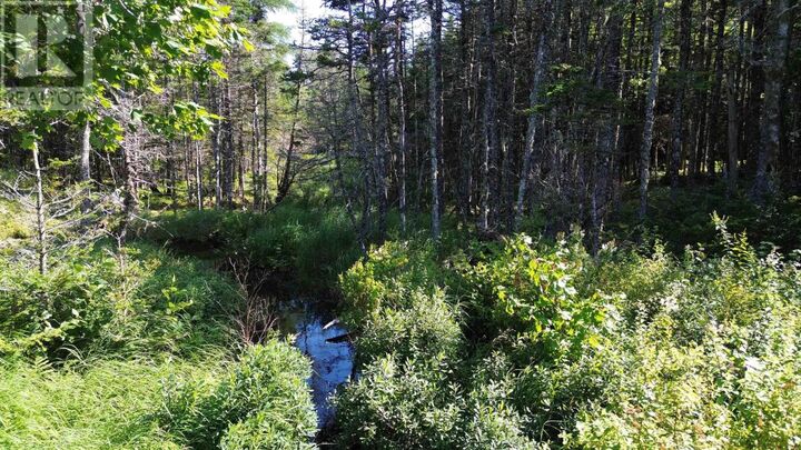 Property Photo: Condons Lake Drive NS B0E 3B0