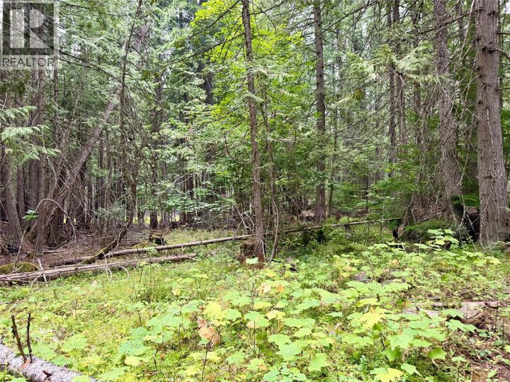 Harrop-Procter Road — photo 1