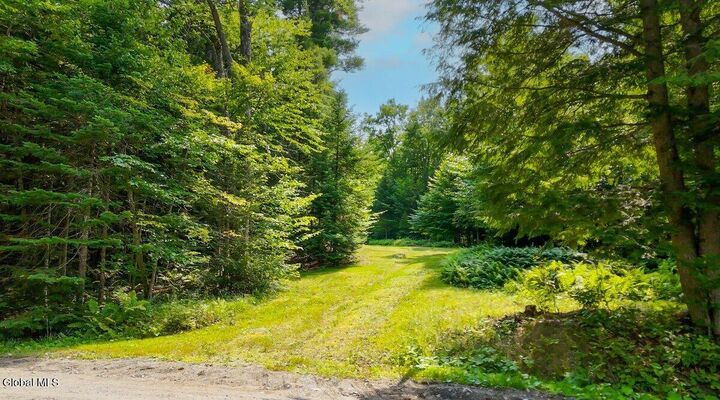 Property Photo: L59 Horseshoe Pond Road NY 12870